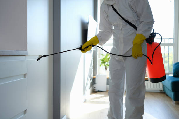 Best Emergency Mold Remediation in Meron Park, CA