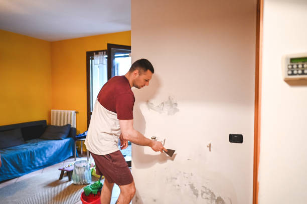 Best Mold Remediation for Schools in Meron Park, CA